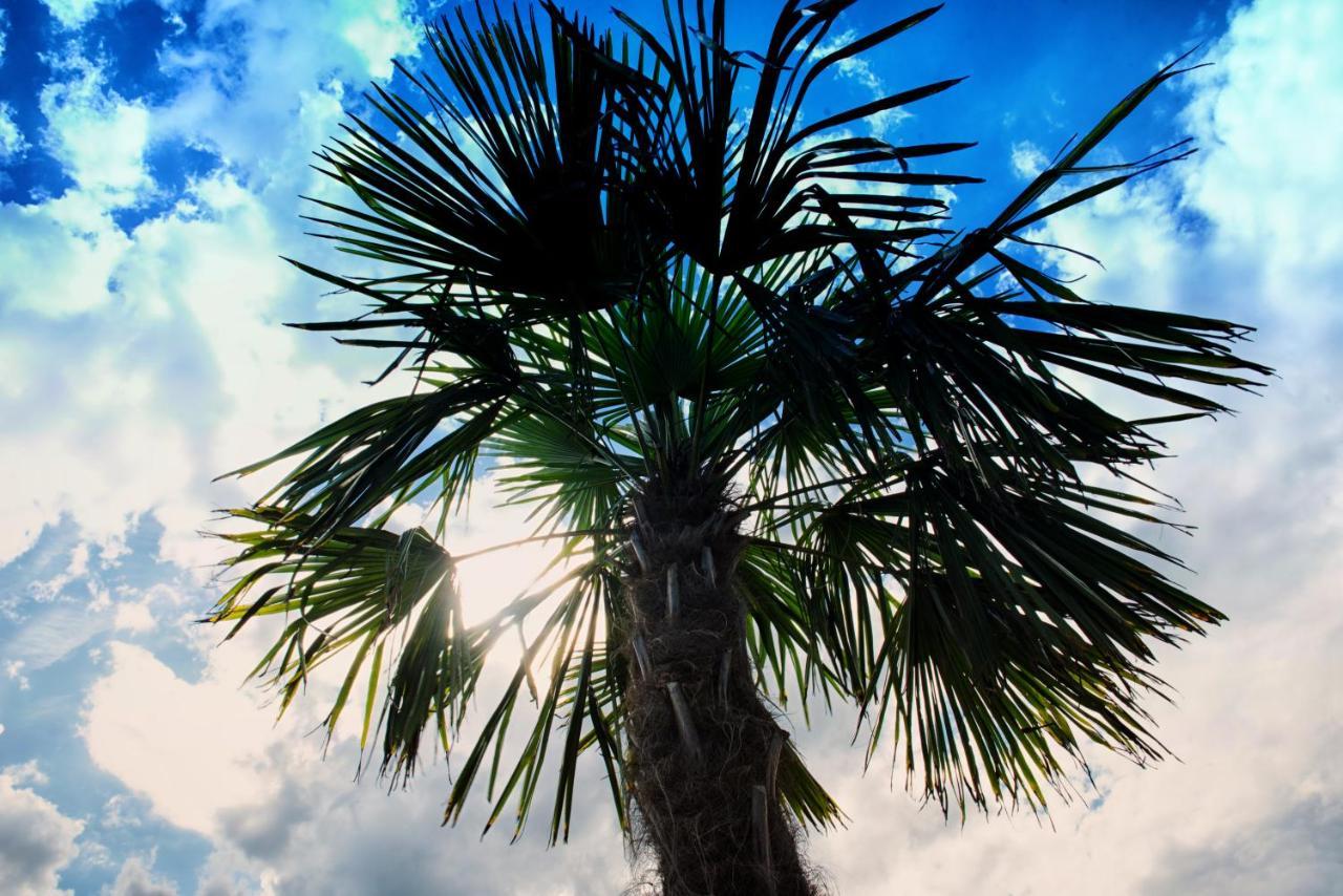 Nocleg Zator Domki Paradise Pod Palmami Exterior foto